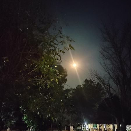Pousada O Canto Da Seriema Nobres Dış mekan fotoğraf